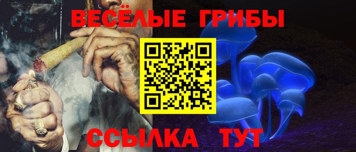 Псилоцибиновые грибы мицелий  даркнет сайт  Химки  Вход с VPN 